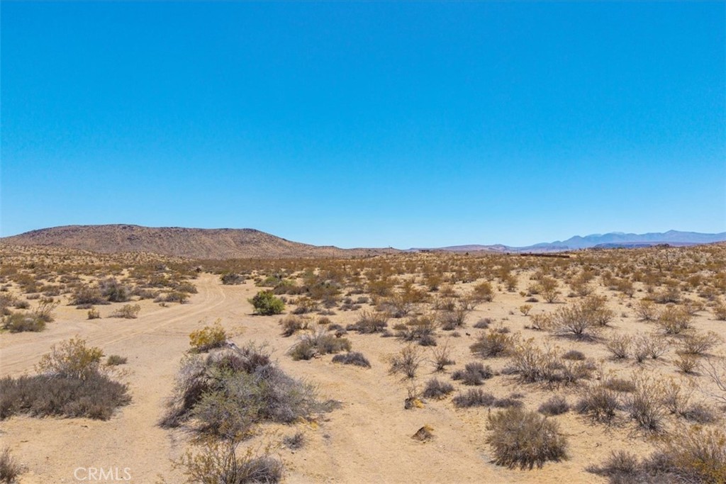 MLS #JT25173166 image #10