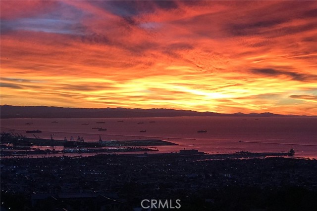 Front Image Thumbnail for CRSB26105482