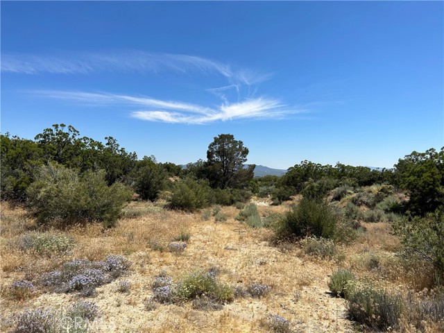 36725 Penny Lane, Anza, California 92539, ,Land,For Sale,36725 Penny Lane,CRSW24013749