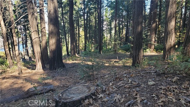 Detail Gallery Image 30 of 35 For 26 Peak Circle, Crestline,  CA 92322 - – Beds | – Baths