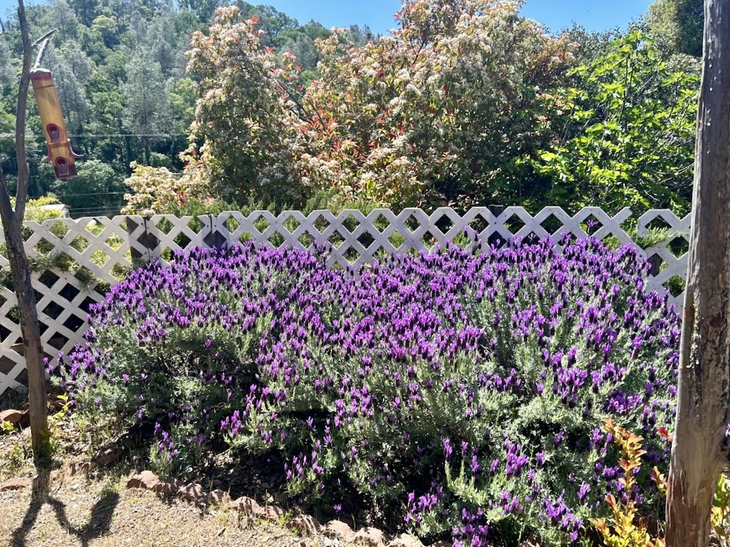 https://media.crmls.org/medias/960a8fd8-eb9d-4717-ba4d-41c0a4d297da.jpg?preset=X-Large