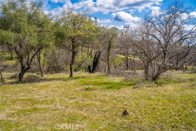 Detail Gallery Image 36 of 55 For 6096 Carter Rd, Mariposa,  CA 95338 - 3 Beds | 2 Baths