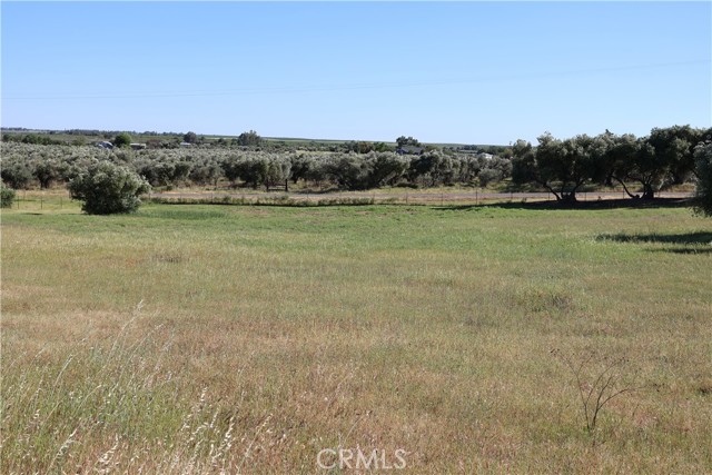 Detail Gallery Image 12 of 32 For 0 Carona Ave., Corning,  CA 96021 - – Beds | – Baths