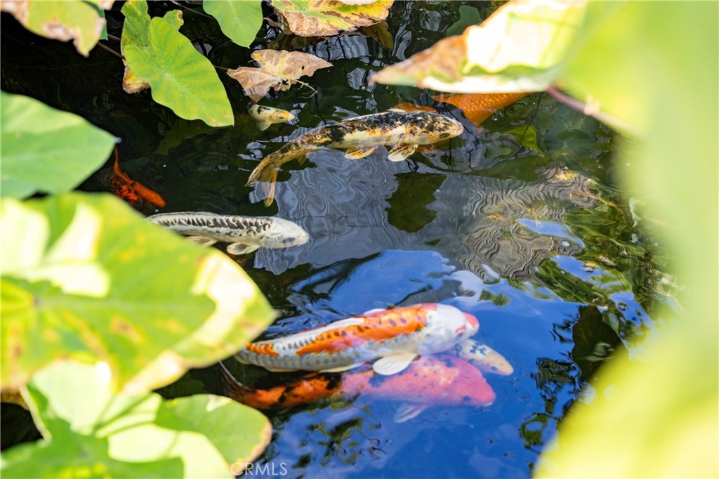 https://media.crmls.org/medias/961a8cca-a1ad-4d83-80b4-103e3c1c54e2.jpg?preset=X-Large