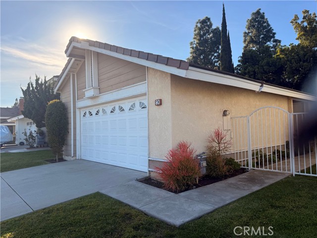 Front Image Thumbnail for CROC26039458