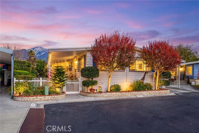 Front Image Thumbnail for CRCV25274176