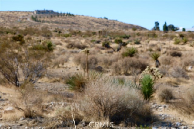 0 Juniper, Apple Valley CA: https://media.crmls.org/medias/962de5dd-1a20-4dd1-a22d-f34e3ddda16b.jpg