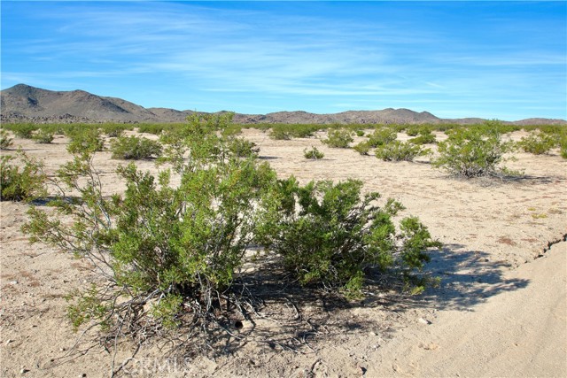 Detail Gallery Image 9 of 20 For 63305 Ranier Rd, Joshua Tree,  CA 92252 - – Beds | – Baths