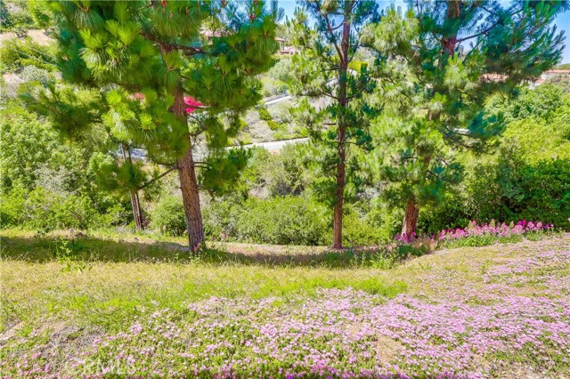 Detail Gallery Image 54 of 63 For 4329 via Frascati, Rancho Palos Verdes,  CA 90275 - 3 Beds | 3 Baths