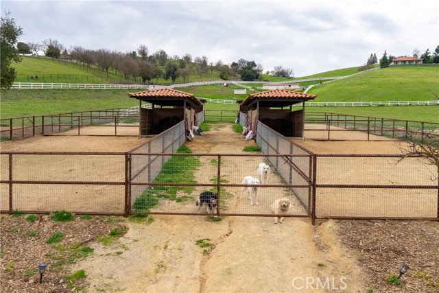 Detail Gallery Image 59 of 66 For 805 Spring Creek Way, Templeton,  CA 93465 - 4 Beds | 3/1 Baths