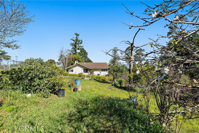 Detail Gallery Image 20 of 32 For 1909 Pineridge, Cambria,  CA 93428 - 2 Beds | 2 Baths