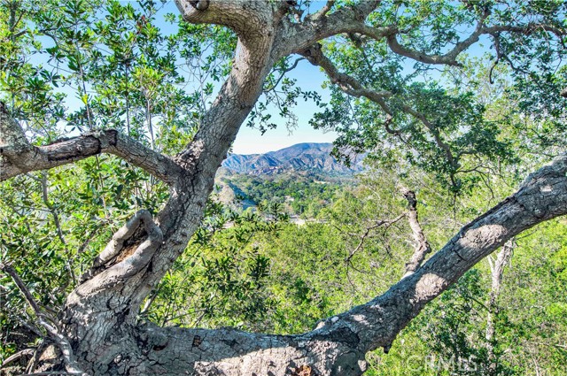 Detail Gallery Image 54 of 55 For 42 Abrigo, Rancho Santa Margarita,  CA 92688 - 2 Beds | 2 Baths