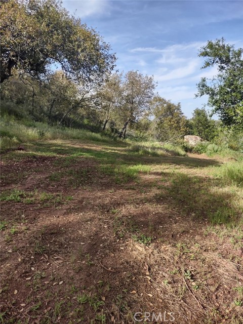 0 Avenida Perla Bonita, Murrieta CA: https://media.crmls.org/medias/964a4bed-2837-46a0-934e-d05fe33012d8.jpg