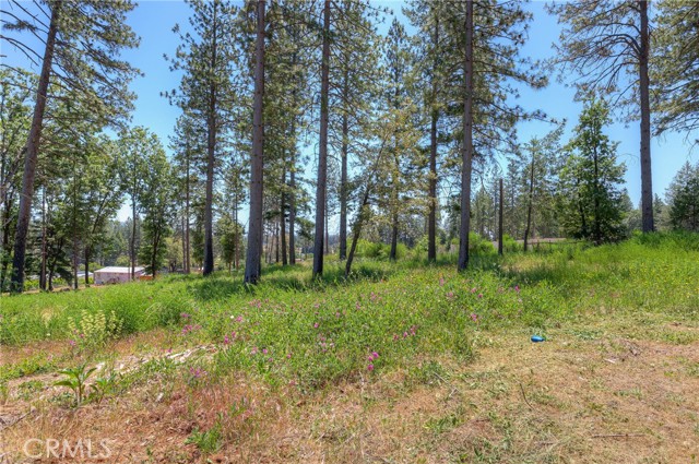 Detail Gallery Image 11 of 12 For 9142 Skyway, Paradise,  CA 95969 - – Beds | – Baths