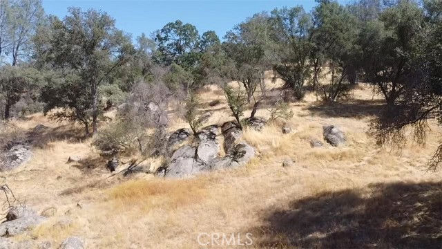 0 Deep Forest Court, Coarsegold, California 93614, ,Land,For Sale,0 Deep Forest Court,CRFR23182041