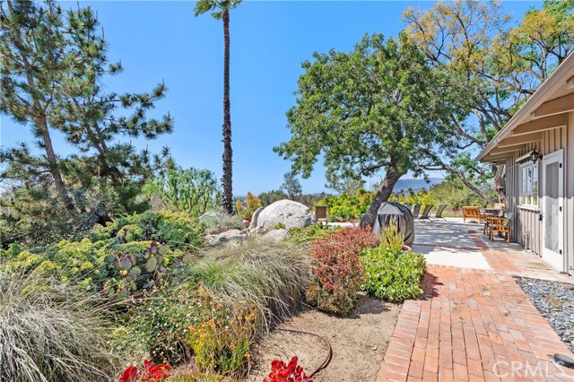 The gardens that abut the back patio are drought tolerant landscape
