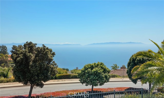 View of Catalina from the backyard