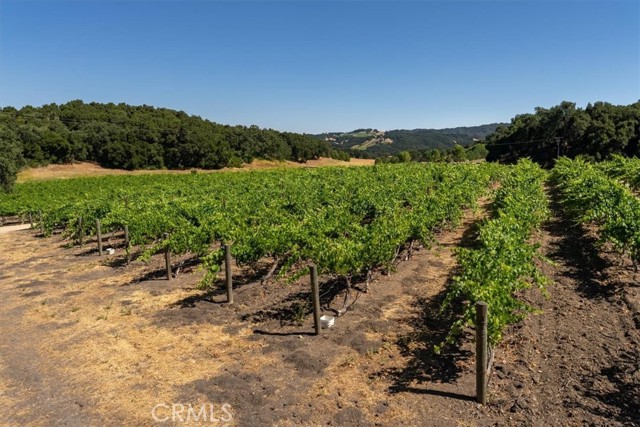 Detail Gallery Image 67 of 70 For 2725 Oak View Rd, Templeton,  CA 93465 - 5 Beds | 3/1 Baths