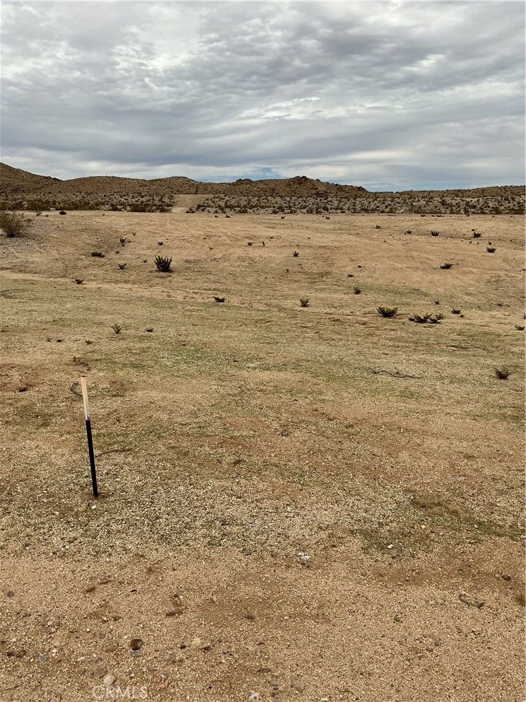 MLS #PW25227413 image #6