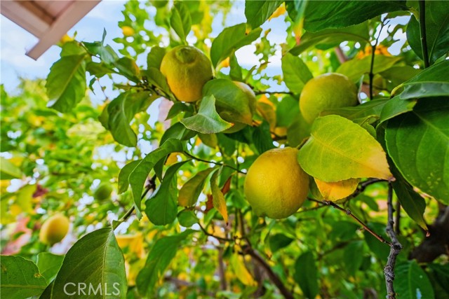 Detail Gallery Image 24 of 26 For 37056 Edgemont, Murrieta,  CA 92563 - 4 Beds | 3/1 Baths