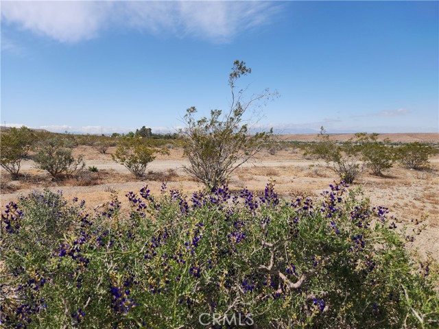 Detail Gallery Image 4 of 11 For 5 Ac Oleander St, Oro Grande,  CA 92368 - – Beds | – Baths