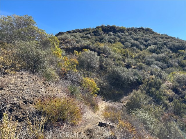 Detail Gallery Image 14 of 24 For 25858 Mulholland, Calabasas,  CA 91302 - – Beds | – Baths