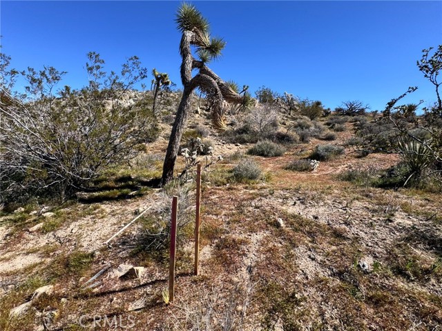 Detail Gallery Image 14 of 14 For 0 Hilton, Yucca Valley,  CA 92284 - – Beds | – Baths