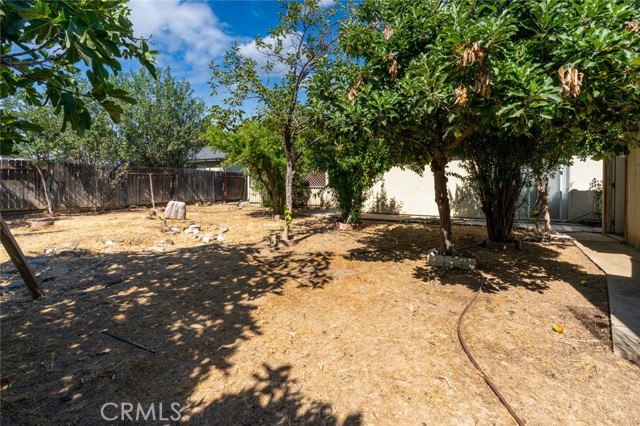 Detail Gallery Image 29 of 39 For 379 Edan Ct, Merced,  CA 95341 - 3 Beds | 2 Baths
