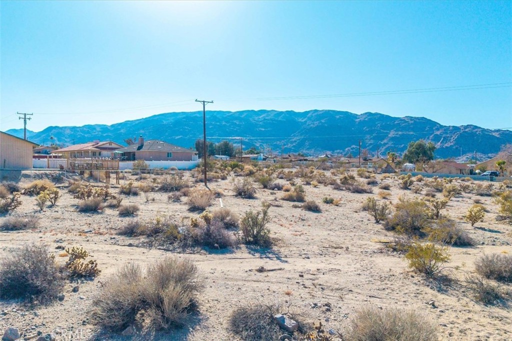 MLS #JT25028804 image #7