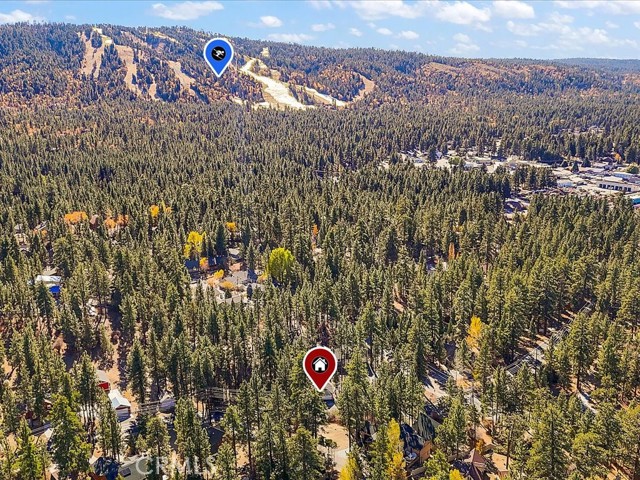 42385 Fox Farm Road, Big Bear Lake CA: https://media.crmls.org/medias/96875613-0958-4a37-8aab-5caf3a9b7844.jpg