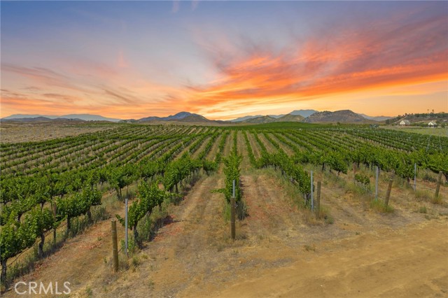 Detail Gallery Image 4 of 16 For 0 Berenda Rd, Temecula,  CA 92591 - – Beds | – Baths