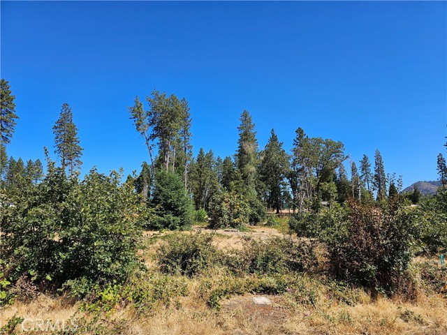 1533 Forest Service Rd, Paradise CA: https://media.crmls.org/medias/96940718-a6a2-41a6-8934-f4ca5c0fb4d6.jpg