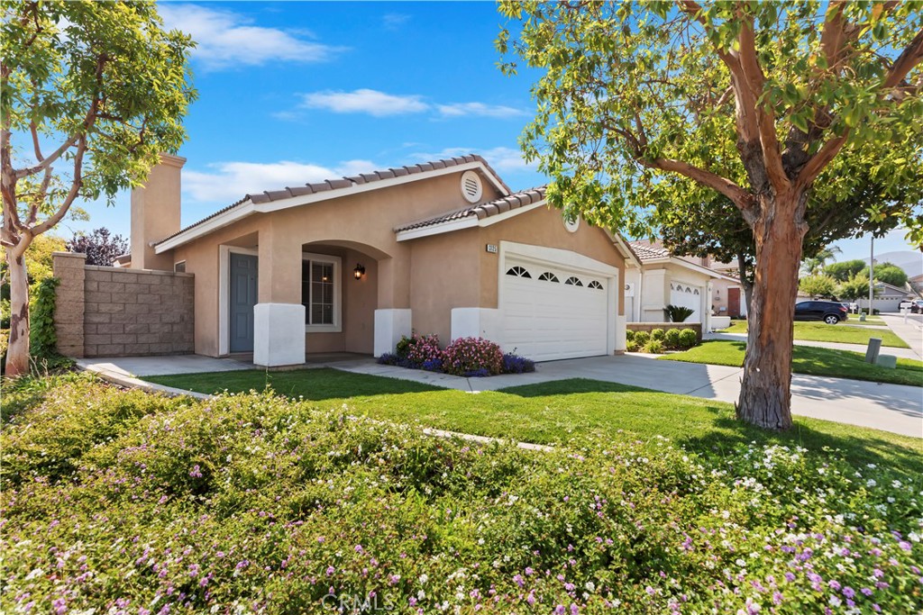 3125 Andaluz Way