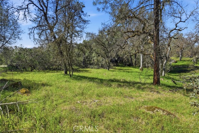 Detail Gallery Image 10 of 29 For 4260 Burl, Mariposa,  CA 95338 - – Beds | – Baths