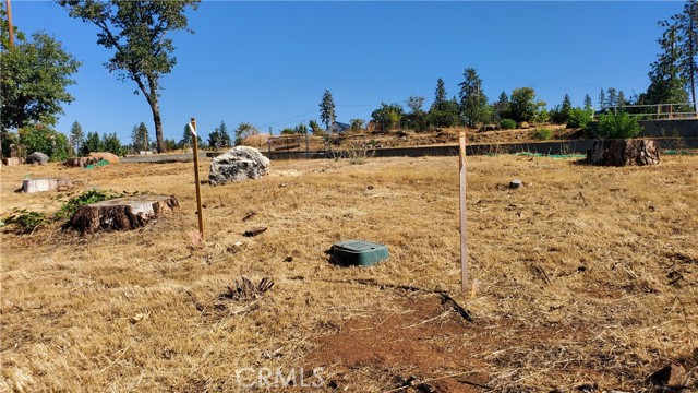 5325 Black Olive Drive, Paradise, California 95969, ,Land,For Sale,5325 Black Olive Drive,CRSN23197459