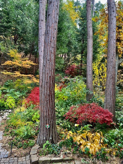 Detail Gallery Image 52 of 56 For 23280 Brookside Rd, Crestline,  CA 92325 - 3 Beds | 3/1 Baths