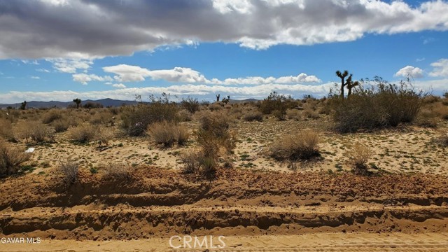 Front Image Thumbnail for CRSR26178430