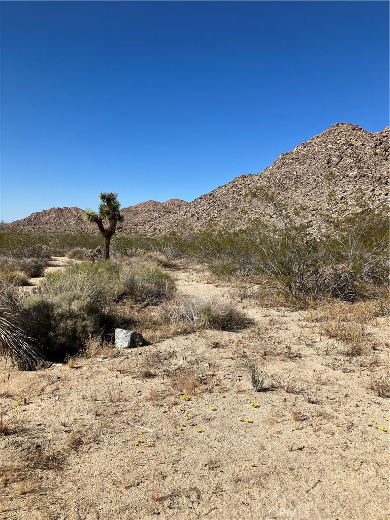 MLS #RS24089669 image #3