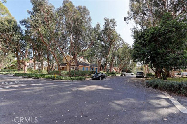 3101 Via La Selva, Palos Verdes Estates, California 90274, 4 Bedrooms Bedrooms, ,3 BathroomsBathrooms,Residential,Sold,Via La Selva,SB17225108