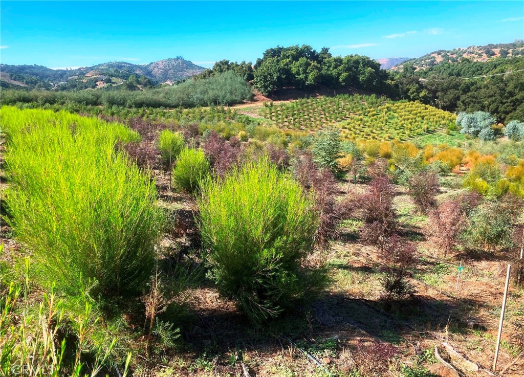 MLS #SW24226307 img 10