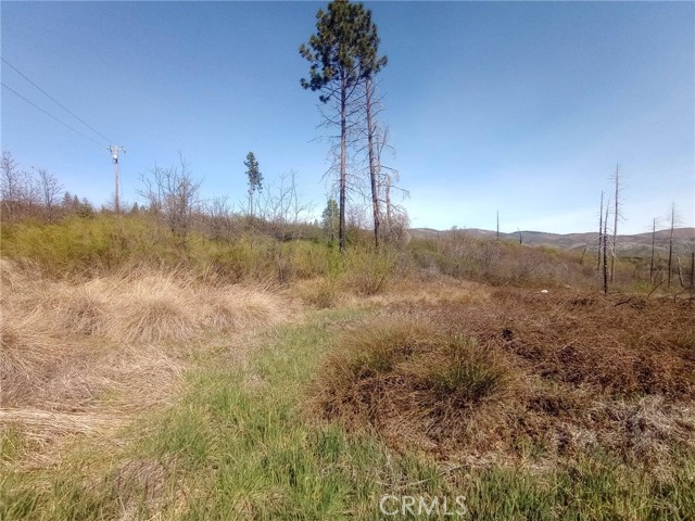 Detail Gallery Image 21 of 27 For 3515 Hoffman, Oroville,  CA 95965 - – Beds | – Baths