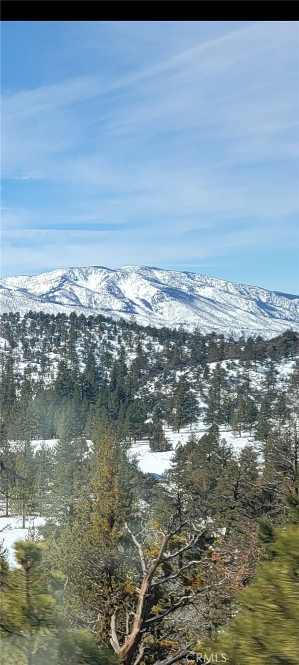 Detail Gallery Image 43 of 50 For 41922 Centre Ct, Big Bear Lake,  CA 92315 - 3 Beds | 3/1 Baths