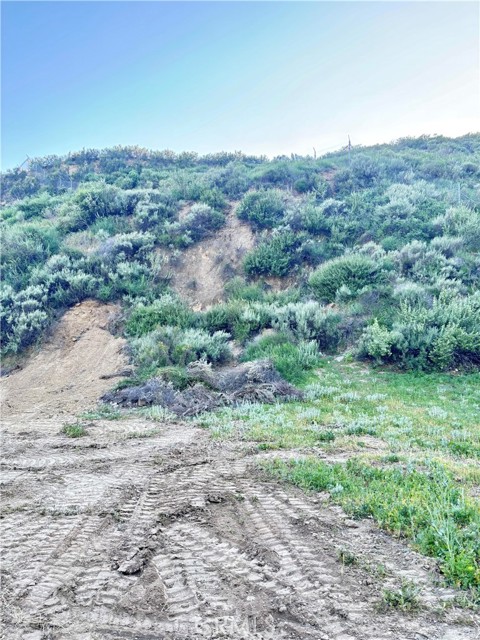 Front Image Thumbnail for CRSR26066909