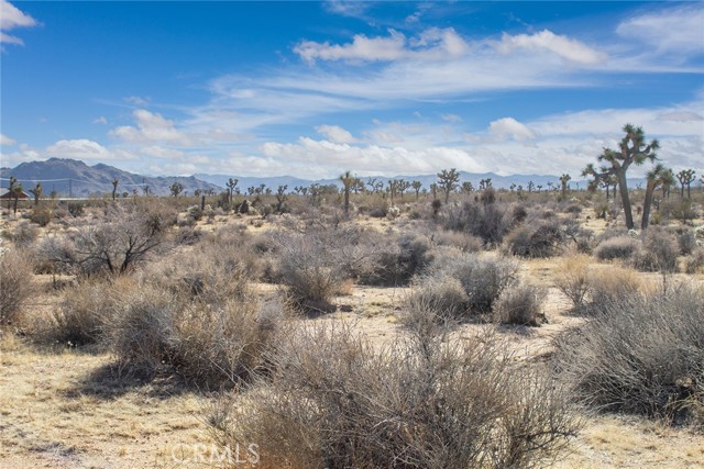 Detail Gallery Image 8 of 19 For 59525 La Crescenta Dr, Yucca Valley,  CA 92284 - – Beds | – Baths