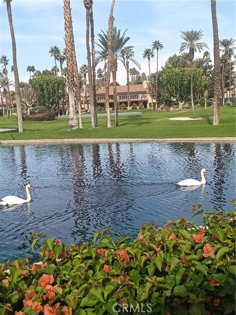 Detail Gallery Image 25 of 25 For 127 Lake Shore Dr, Rancho Mirage,  CA 92270 - 2 Beds | 2/1 Baths