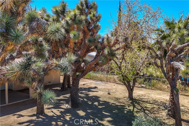 Detail Gallery Image 38 of 53 For 56830 Desert Gold Dr, Yucca Valley,  CA 92284 - 2 Beds | 2 Baths