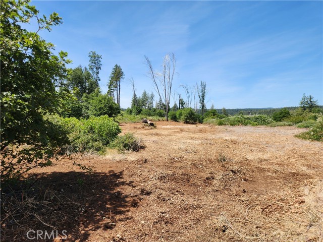 14248 Monte Calle Lane, Magalia CA: https://media.crmls.org/medias/96c10869-42a6-4121-bc5b-6e9a55808278.jpg
