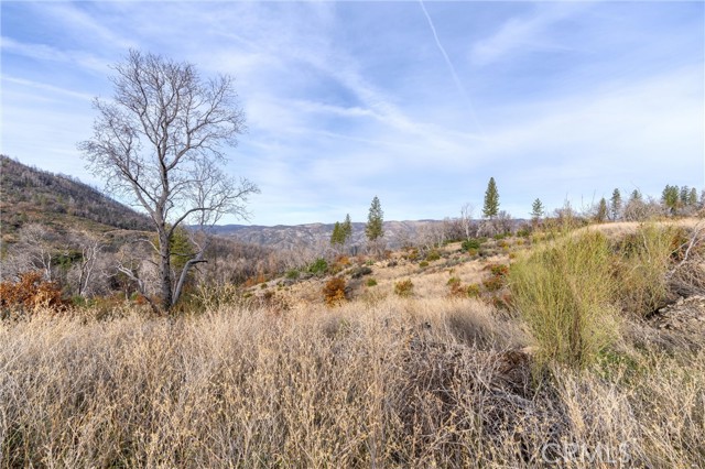 2261 Lumpkin Road, Oroville, California 95966, ,Land,For Sale,2261 Lumpkin Road,CRSN23227177