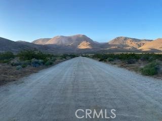 MLS #DW25201758 image #5