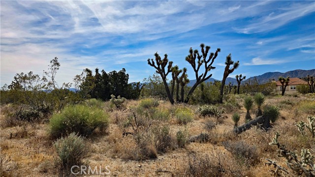 Detail Gallery Image 43 of 49 For 0 103rd St East Vicinity W14, –,  CA 93543 - – Beds | – Baths